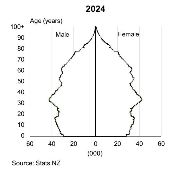 Image shows the fan population pyramids at 30 June 2024. See link to text alternative under image